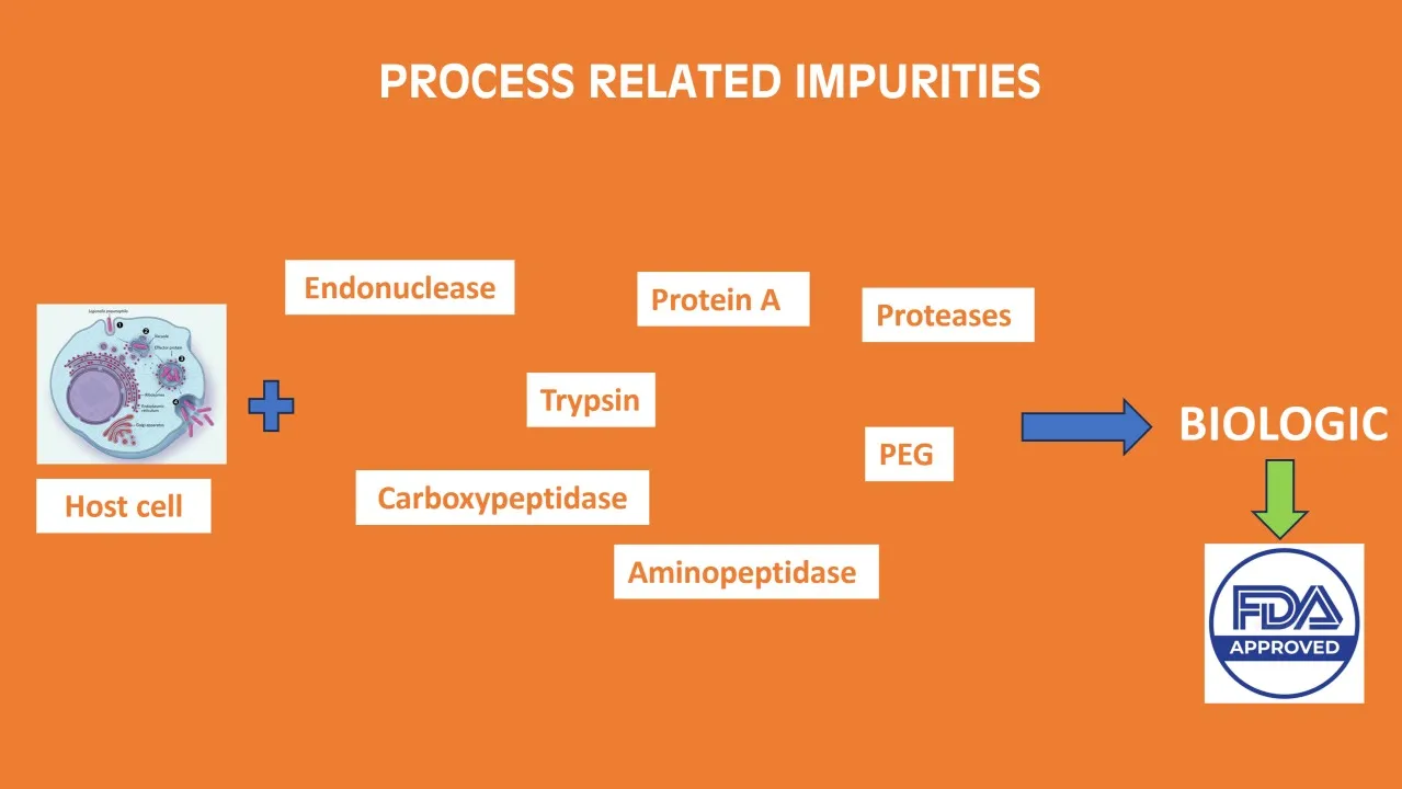 Process-Related Impurities in Biologics: Essential for Production, Critical to Remove